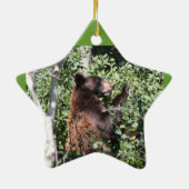 Ornement de parc de glacier (Dos)