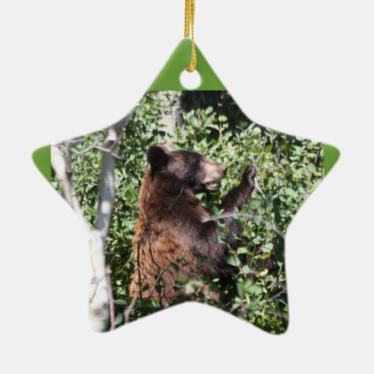 Ornement de parc de glacier (Dos)