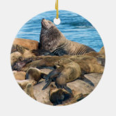 Ornement de parc national de baie de glacier (Dos)