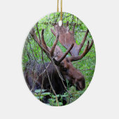 Ornement de parc national de Royale d'île (Droite)