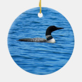 Ornement de parc national de Voyaguers (Dos)