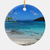 Ornement de parc national des Îles Vierges (Dos)