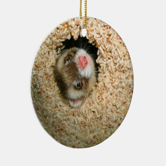 Ornement de Pauley de cache-cache (Droite)