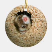 Ornement de Pauley de cache-cache (Devant)