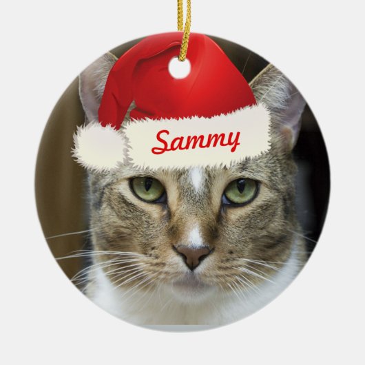 Ornement de Père Noël Paws (Devant)