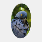 Ornement de perroquet bleu (Droite)