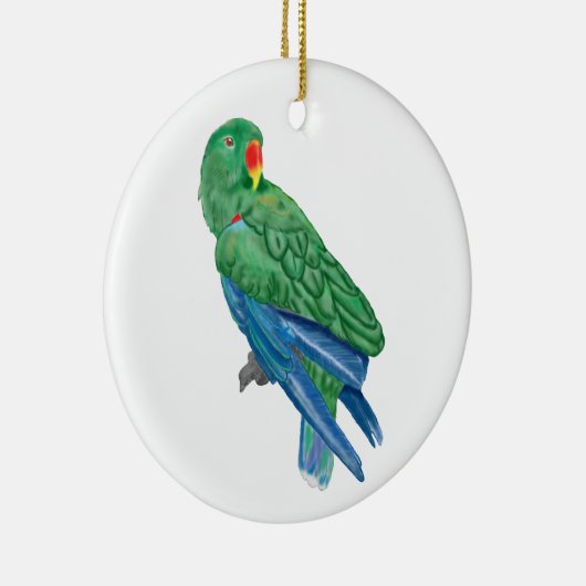 Ornement de perroquet d'Eclectus (Droite)