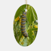 Ornement de photo (Droite)