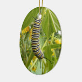 Ornement de photo (Gauche)