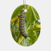 Ornement de photo (Dos)