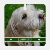 Ornement de photo d'animal de compagnie avec nom p (Verso)