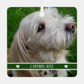 Ornement de photo d'animal de compagnie avec nom p (Recto)