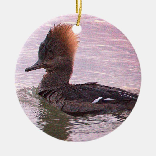 Ornement de photo de canard (Devant)