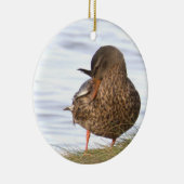 Ornement de photo de canard (Droite)