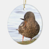 Ornement de photo de canard (Gauche)