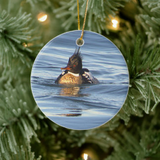 Ornement de photo de canard