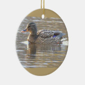 Ornement de photo de canard colvert  (Droite)
