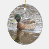 Ornement de photo de canard colvert (Gauche)