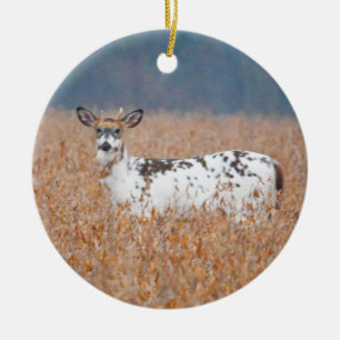 Ornement de photo de cerf piebalde