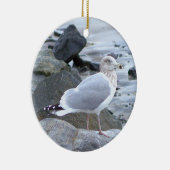 Ornement de photo de mouette (Droite)