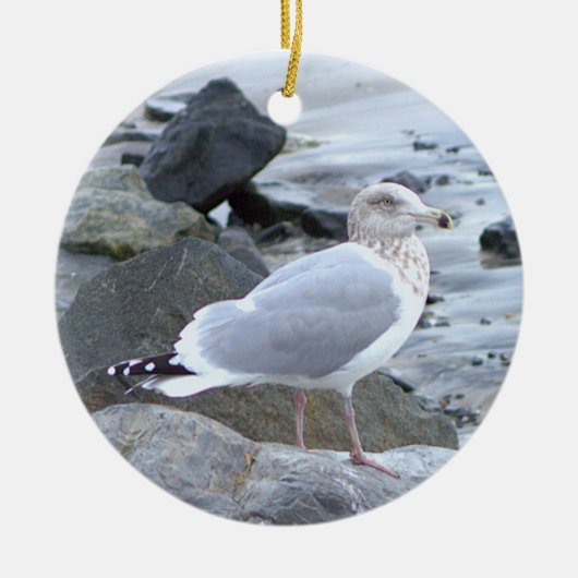 Ornement de photo de mouette (Devant)