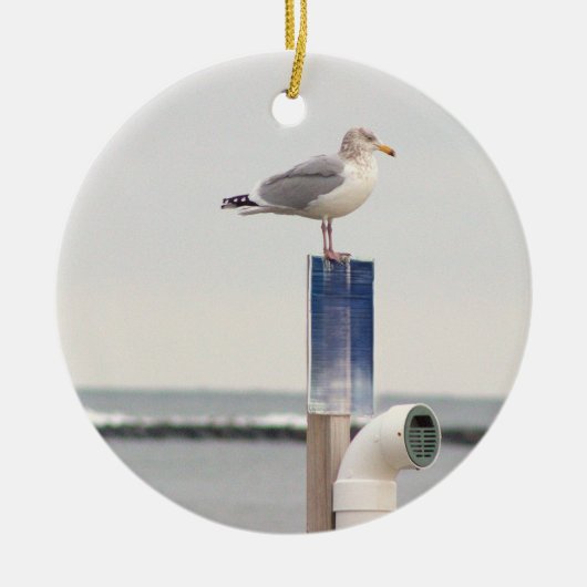 Ornement de photo de mouette (Devant)