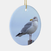 Ornement de photo de mouette (Droite)
