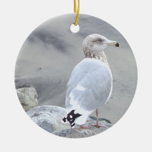 Ornement de photo de mouette (Devant)