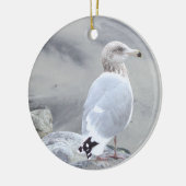 Ornement de photo de mouette (Gauche)