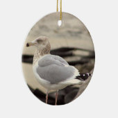 Ornement de photo de mouette (Droite)