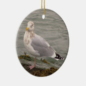 Ornement de photo de mouette (Droite)