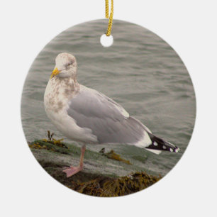 Ornement de photo de mouette