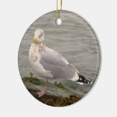 Ornement de photo de mouette (Gauche)