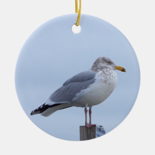 Ornement de photo de mouette (Devant)