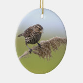 Ornement de photo d'oiseau (Droite)