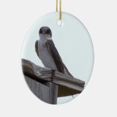 Ornement de photo d'oiseau (Droite)