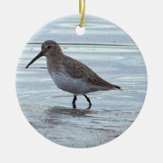 Ornement de photo d'oiseau