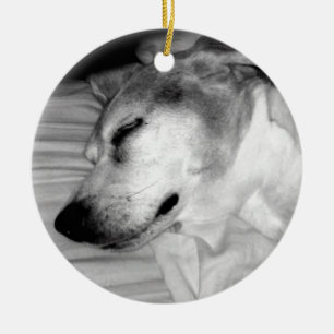 ornement de photo du chien 311-Custom