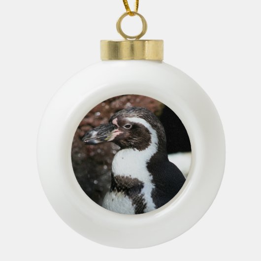 Ornement de pingouin (Devant)