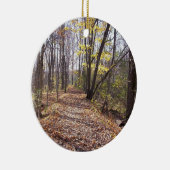 Ornement de piste (Droite)