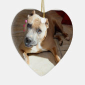 Ornement de pitié (Droite)