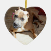 Ornement de pitié (Devant)