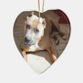 Ornement de pitié (Gauche)