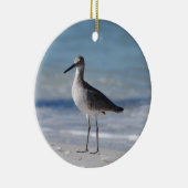 Ornement de pluvier sifflant (Droite)