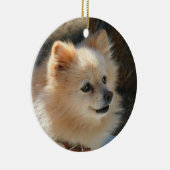 Ornement de Pomeranian (Droite)
