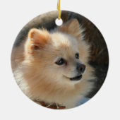 Ornement de Pomeranian (Dos)