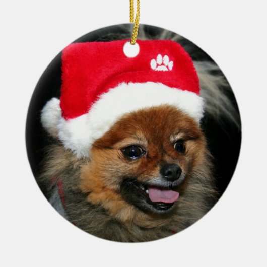 Ornement de Pomeranian de Noël (Devant)