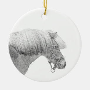 Ornement de pony
