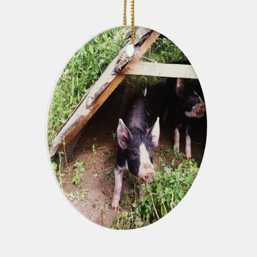 Ornement de porc de Noël (Droite)