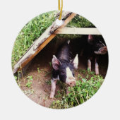 Ornement de porc de Noël (Devant)